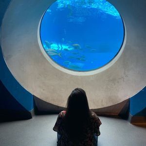 Meet your Posher, Elianis